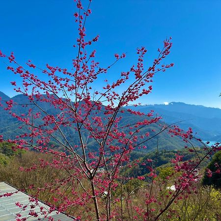 Tian Hsiang Tea B&B Renai Bagian luar foto