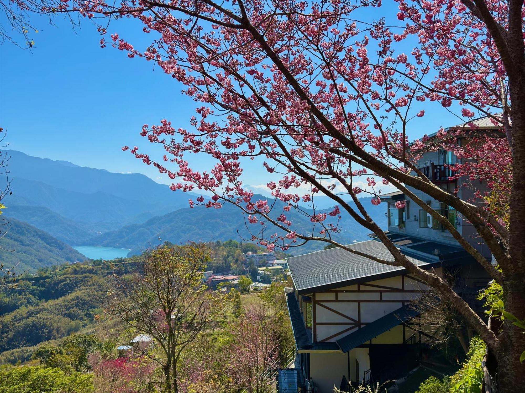 Tian Hsiang Tea B&B Renai Bagian luar foto