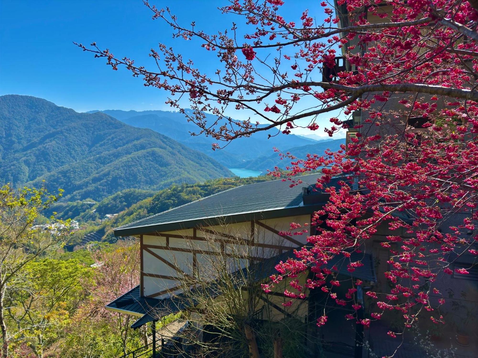 Tian Hsiang Tea B&B Renai Bagian luar foto